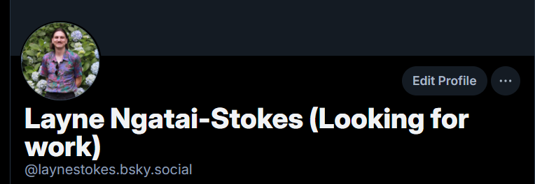 Layne Ngatai-Stokes | Technical Artists tweet media