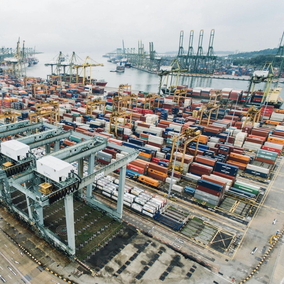 WatsonLandCo's tweet photo. Watson customers have the opportunity to reduce operating costs through Foreign Trade Zone status. FTZ status can be activated in 12 million SF of Watson buildings near the Port of Los Angeles, giving you a strategic advantage.

#FTZ #PortOfLosAngeles #IndustrialRealEstate https://t.co/i5R5QKlv6g