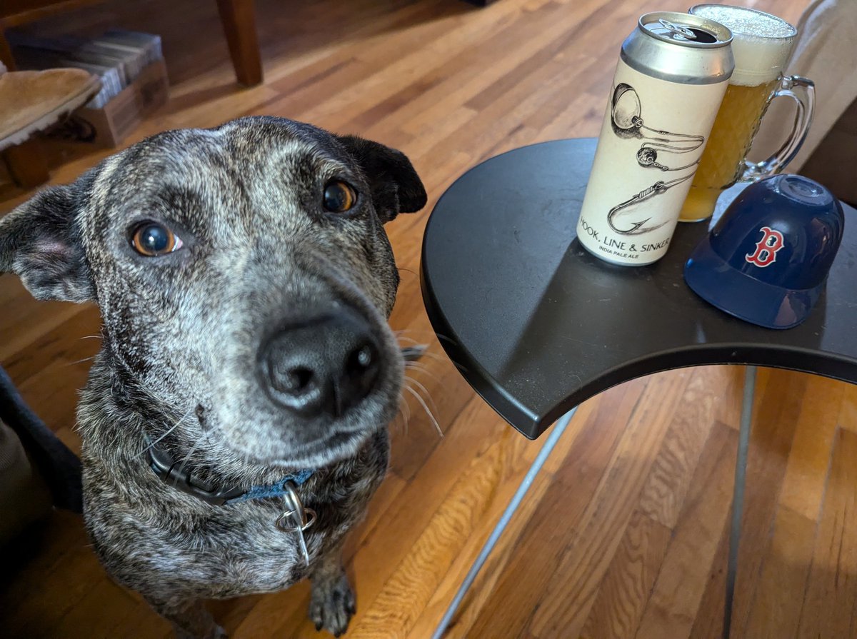 ASFreed's tweet image. Playoff baseball &amp;amp; no Sox is sad. This beer is quite good.

#CraftBeer #CraftCans #ProperGlassware #LunaApproved @badhopper @ManvsAle @RealBMaxwell @madrivertoaster @juggbigt @Just4BeerLovers @david_fuz @JonMontag @MartynMcIntosh @cellmavin @Fiocho @JohanBBT @amethyst_heels