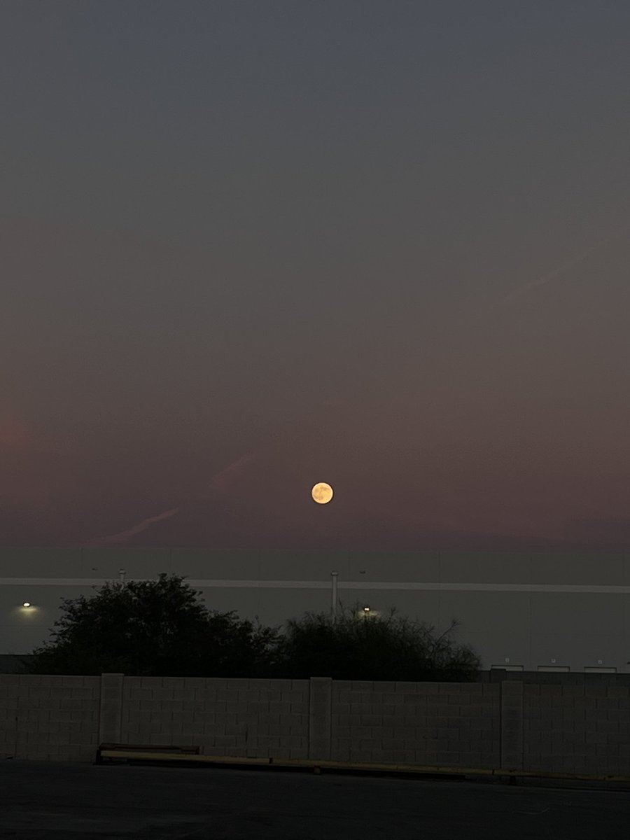 BIGcris9's tweet photo. 🌕 https://t.co/gvNt7TbGU5