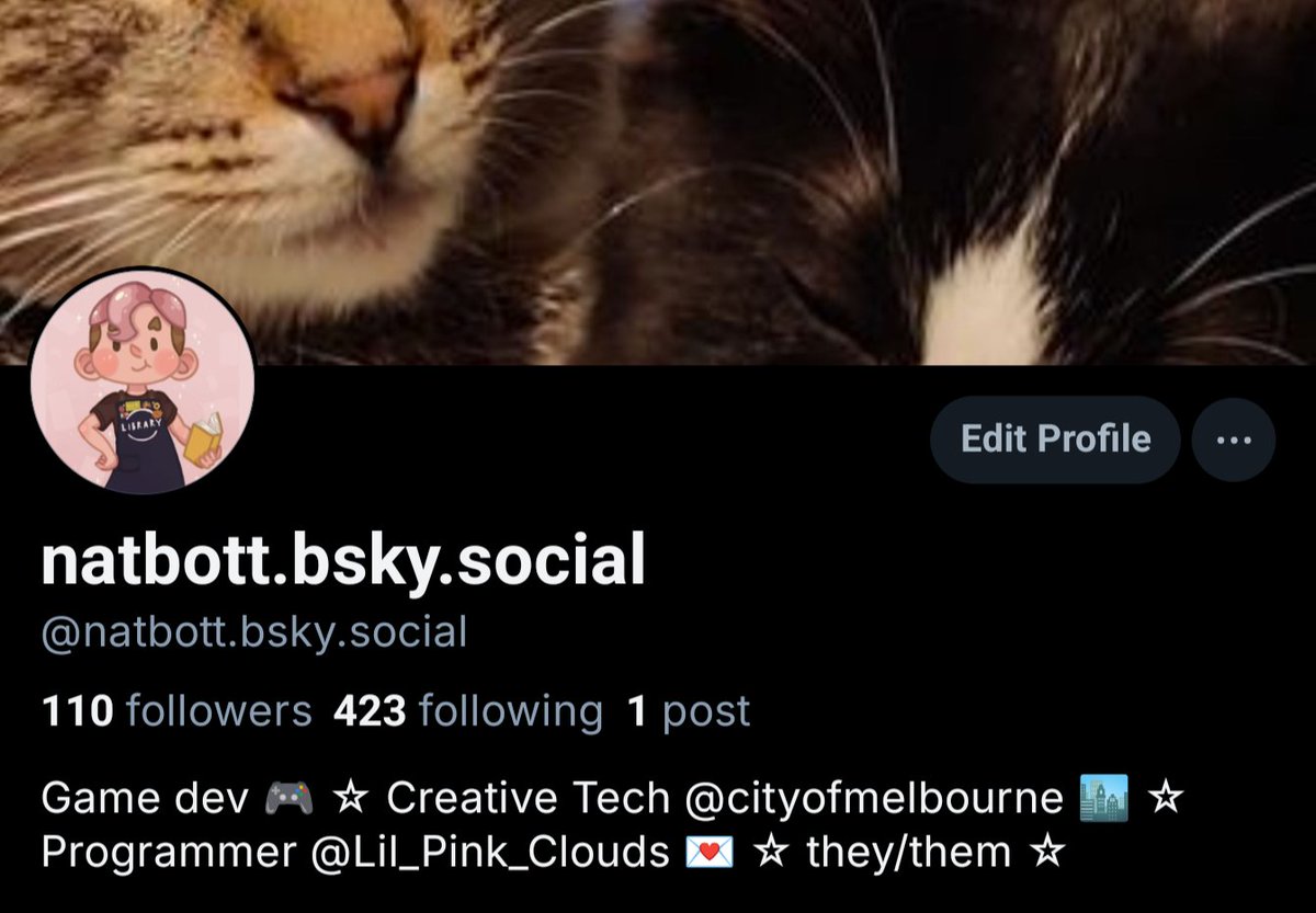 Nat ✨🇵🇸🍉 tweet media