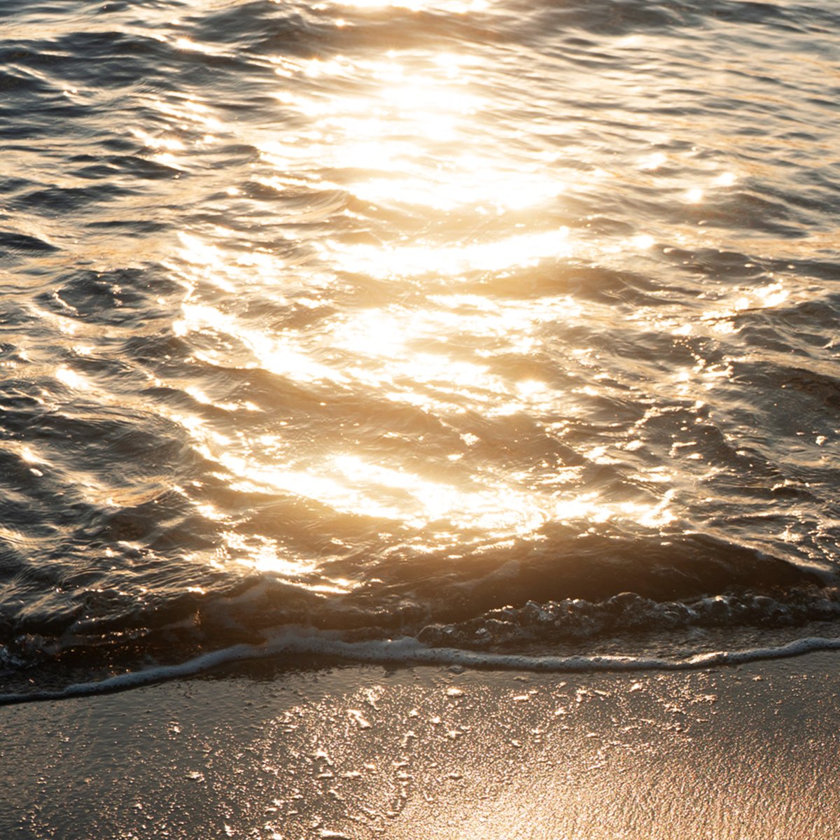 📺TV OA情報📺

TOKYO MX2
「ヒーリングタイム&amp;ヘッドラインニュース」

[.que]「Seaglow」「Delight」 2作品のOAが決定！
10月より放送開始されております。
プログラム「ジオラマ2」「路面電車のある風景その1」

番組HP
→ s.mxtv.jp/music/bgm/

#ヒーリングタイムヘッドラインニュース