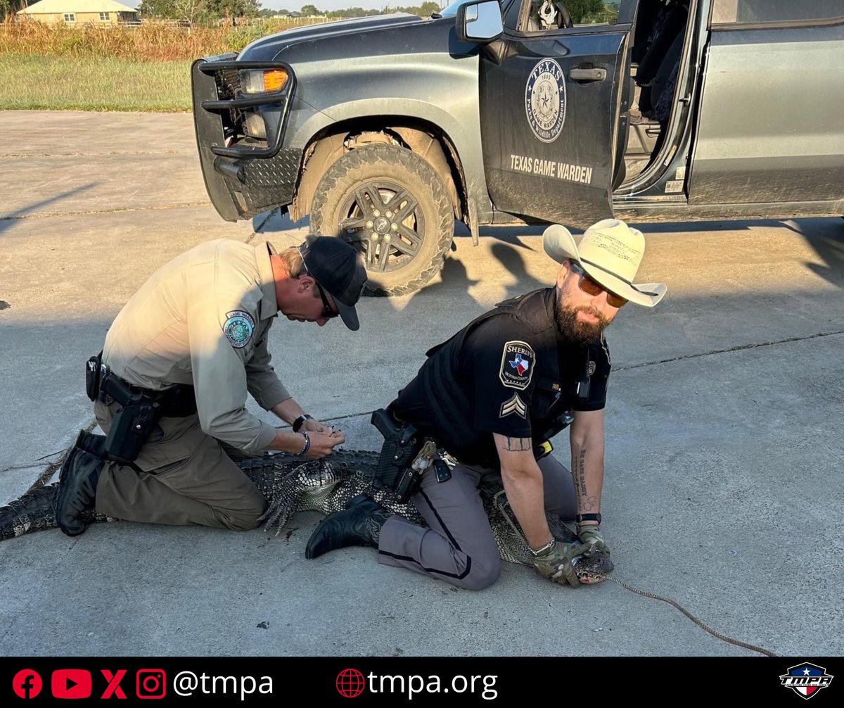 TMPALegislative's tweet image. Just 2 Cops and a gator… and another great day of serving Texas! 🤣🐊

#TMPA #VictoriaCountySO #ServingTexas #AnotherDayAtTheOffice #txlege