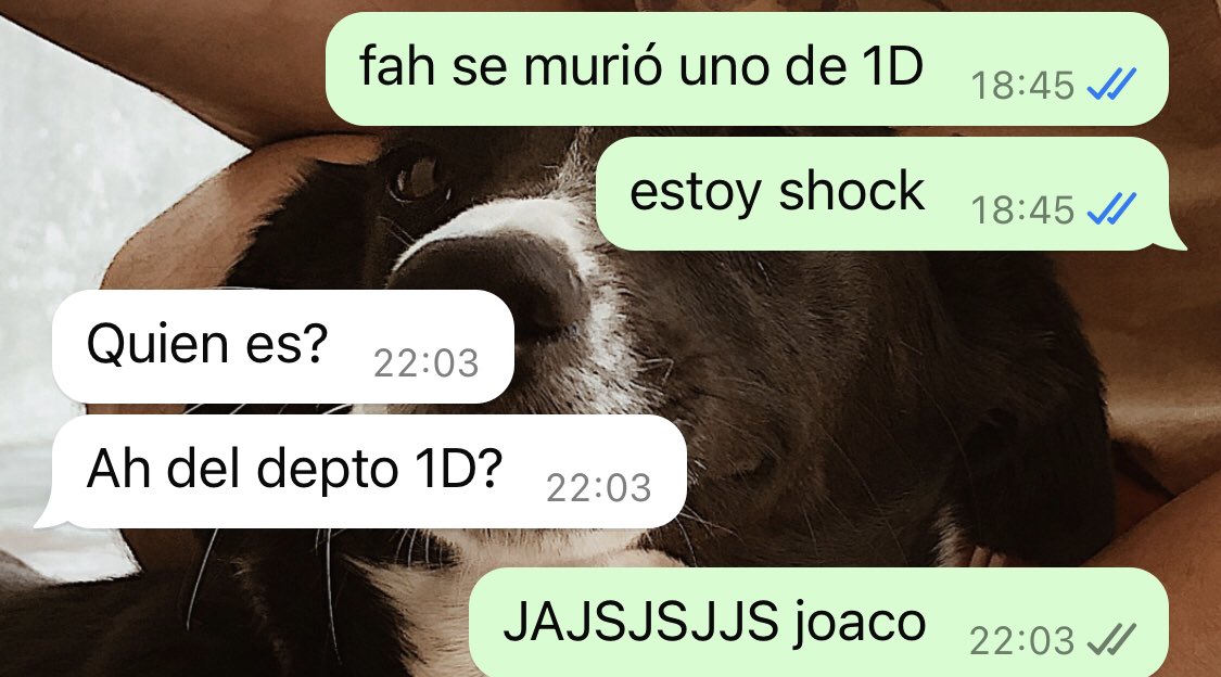 luu_romani's tweet photo. el que está muy al tanto de todo es mi novio https://t.co/KhHnktLV7m
