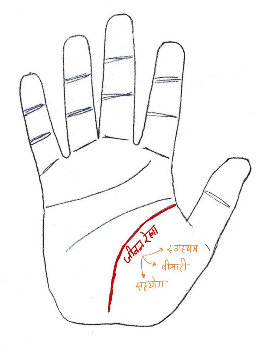 aaadhyatmik's tweet photo. जीवन रेखा (LIFE LINE) 

यह व्यक्ति के जीवनकाल, स्वास्थ्य, शारीरिक शक्ति, सहयोग और महत्वपूर्ण घटनाओं का संकेत देती है।
अपनी जीवन रेखा देखिए किस प्रकार की है 👉🧵

⚠️अगर आप की जीवन रेखा इसमें नहीं है, तो comments में बताइए में उसके बारे में बता दूंगा https://t.co/7ihbTEoUzP