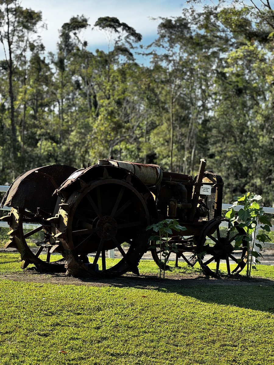 Анхны үеийн анжис юм уу даа