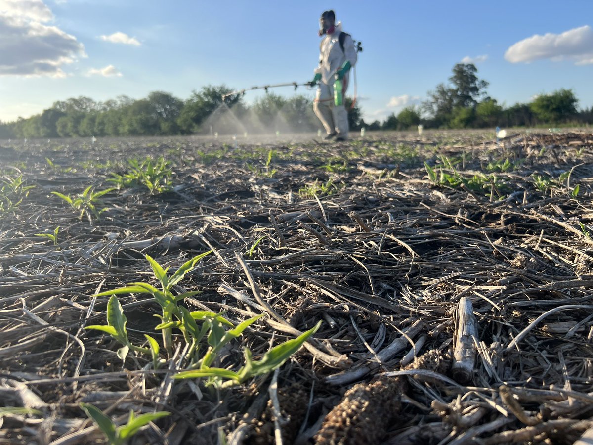 Consultora Más Hectáreas tweet media