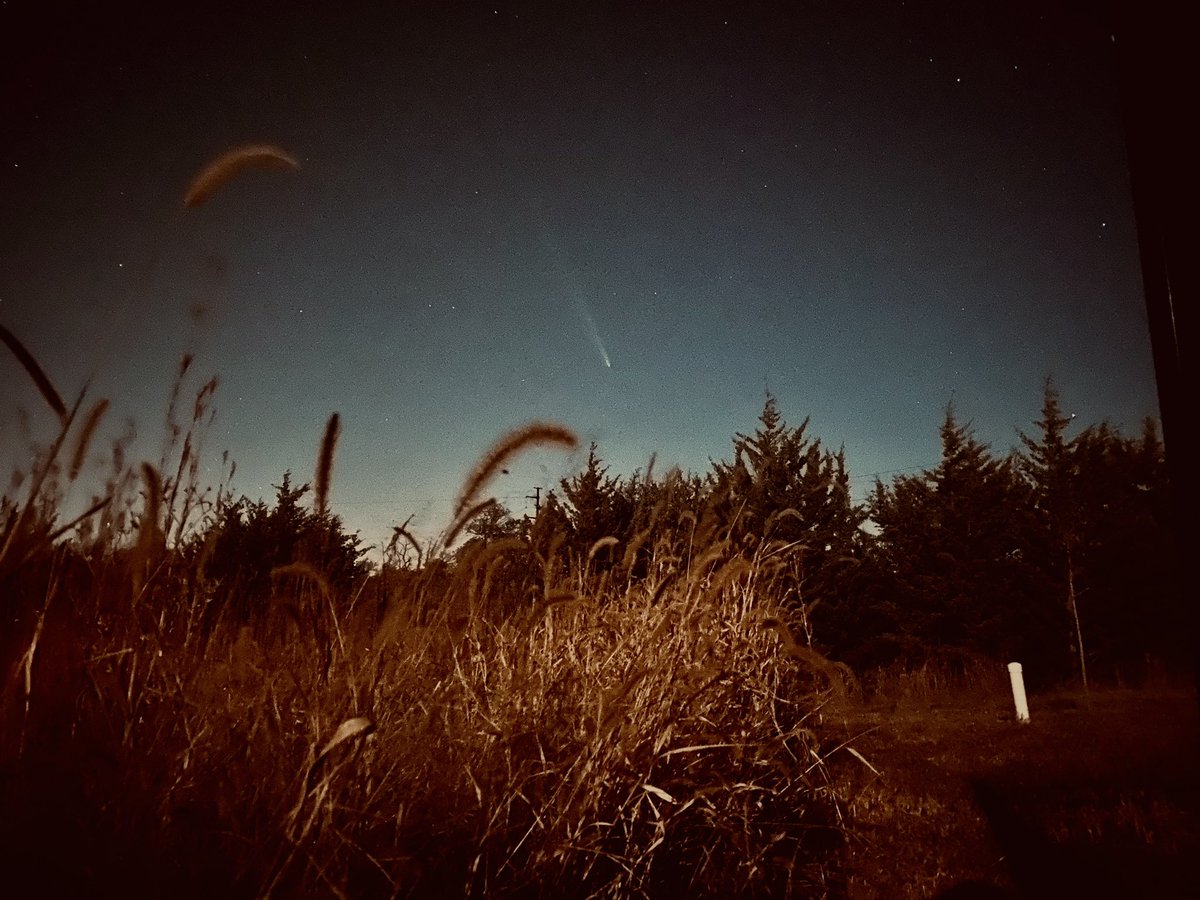 Vax Yo’ Kids tweet media