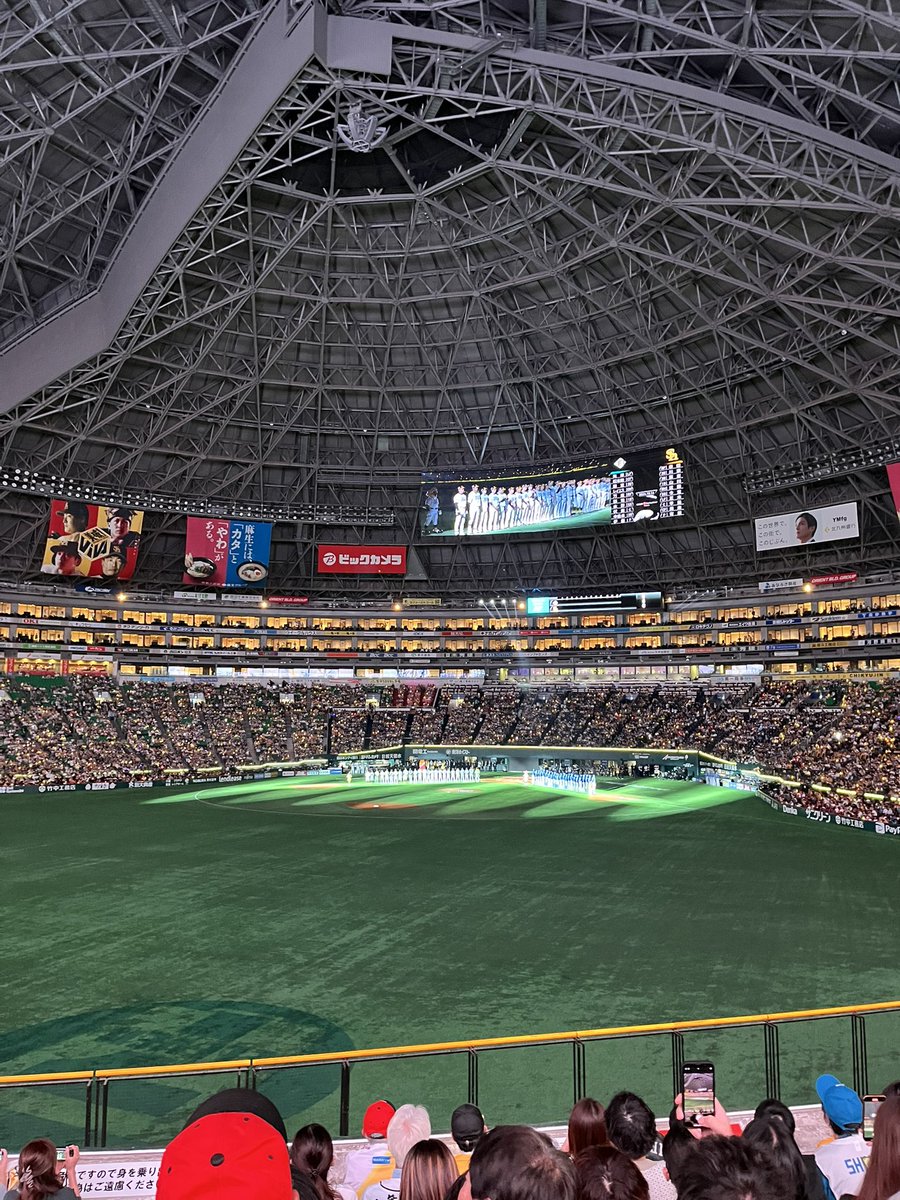 🦅 ⭐︎ 🐝 tweet media