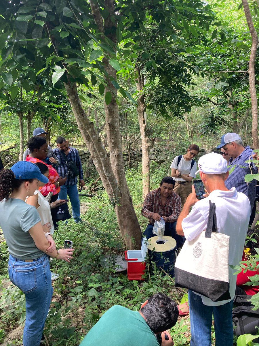 Honored to have been invited to give a lecture as part of the FEF "One Health" and to participate in the launch of the PREACTS-ASAMCO project! 🌍 📷#ASAMCO aims to implement actions to reduce the risk of zoonotic disease emergence in Mexico, Costa Rica, and Haiti. @PREZODE_Intl