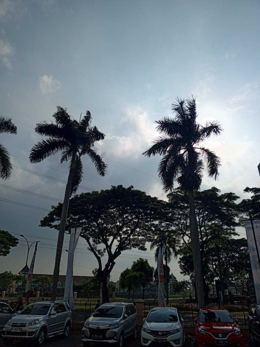 Retinoic_Addict's tweet photo. me vs my photography https://t.co/geZiovmyAh
