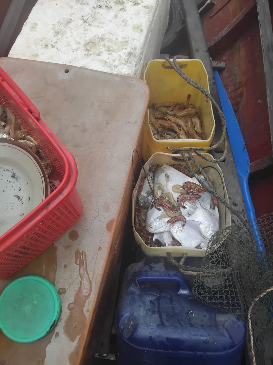 windya_melani's tweet photo. Minggu(13/10),Rusyita Windya Melani, Luhkan Kutai Timur, di Bp Akhmad Ghazali  KN Udang Jaya, Ds Benua Baru Ulu, melaporkan tangkapan Udang Ekspor,BR, Bintik, Jaring hela berkantong, sebanyak 17,9 kg, 
harga Jual Rp 35.000-100.000/kg #GiatLuhkanSatminkalTegal #KutaiTimur #Tangkap https://t.co/evXcuyY5oF