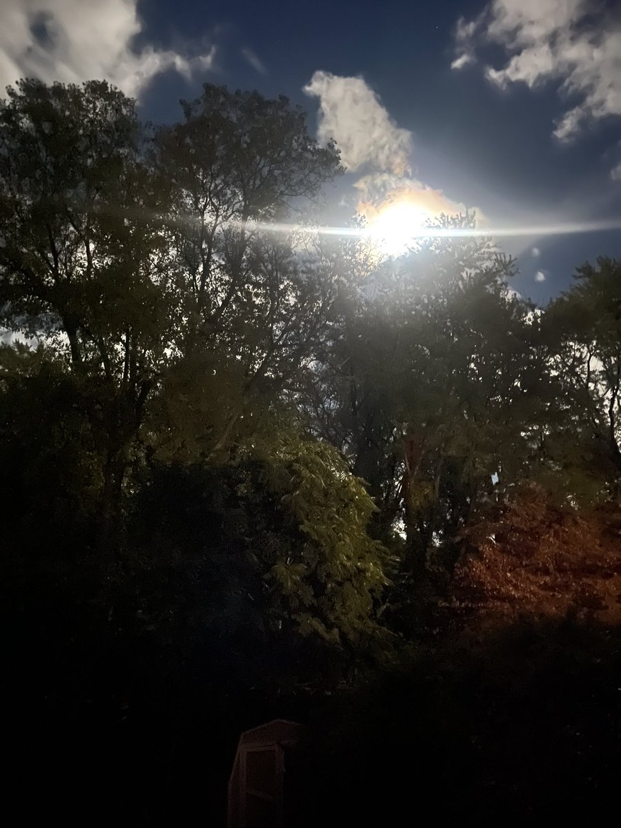 Super moon looks fantastic from my backyard