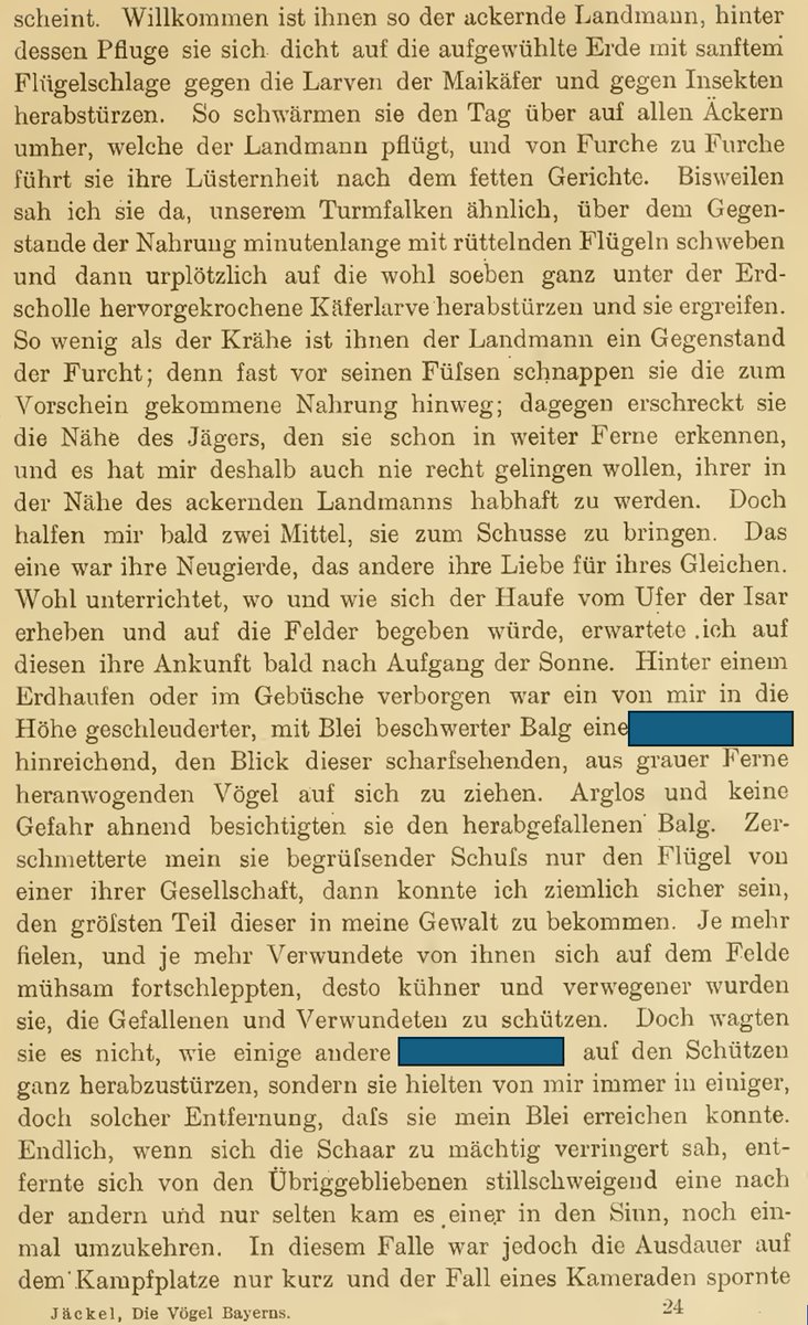 Herbert Nickel tweet media