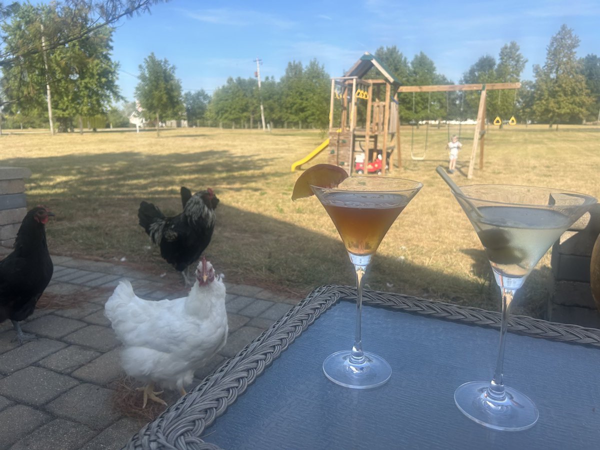 Adam Hook tweet media