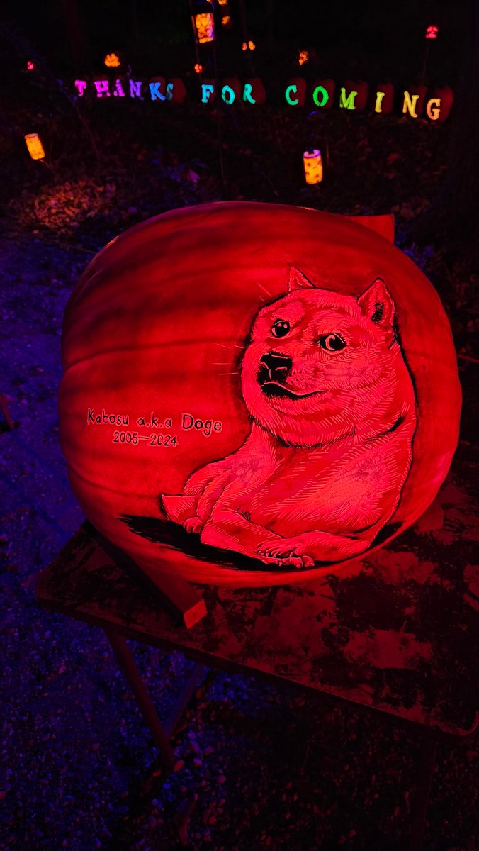 ActiveAddict's tweet photo. Rip doge. #DOGE #Dogecoin https://t.co/pon3UhQt3J
