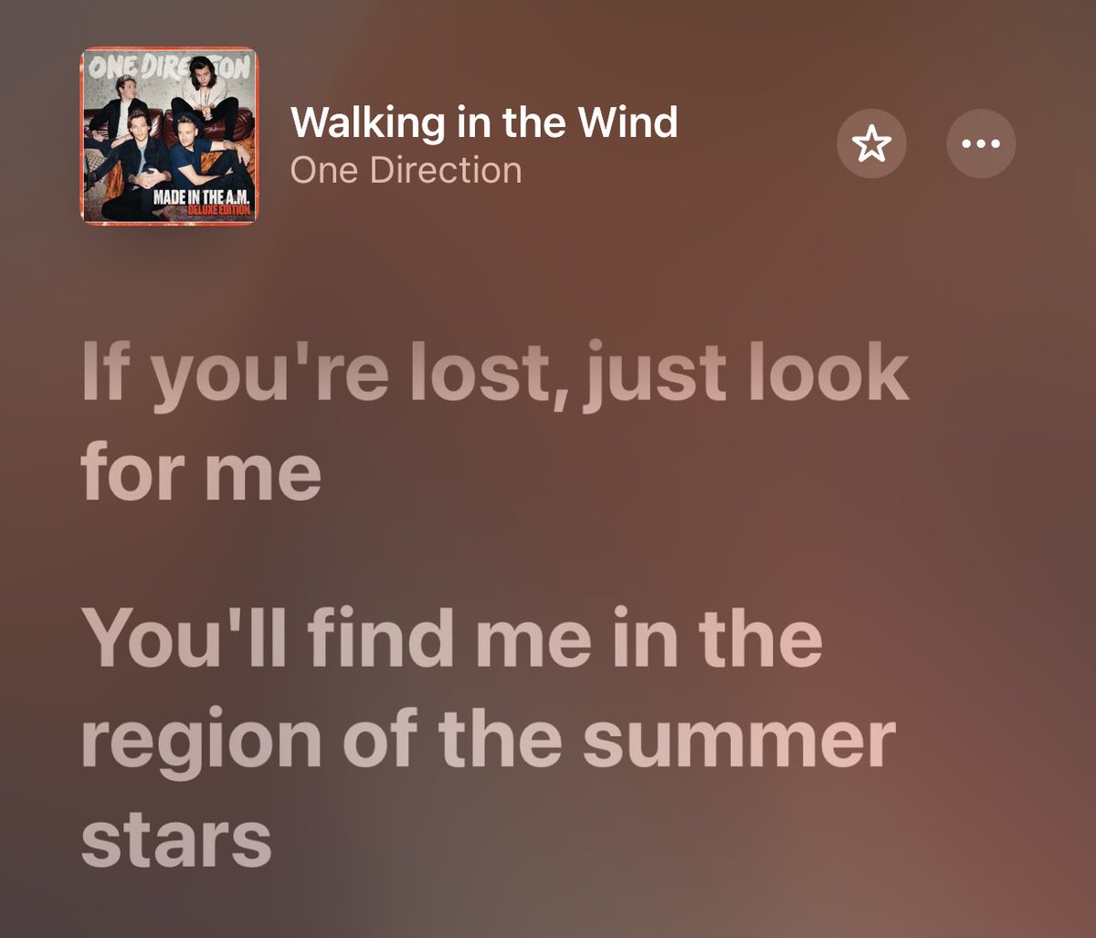 niallharrytour's tweet photo. i don't think i'll ever listen to this lyric and feel normal again . https://t.co/NwPuUptPbj