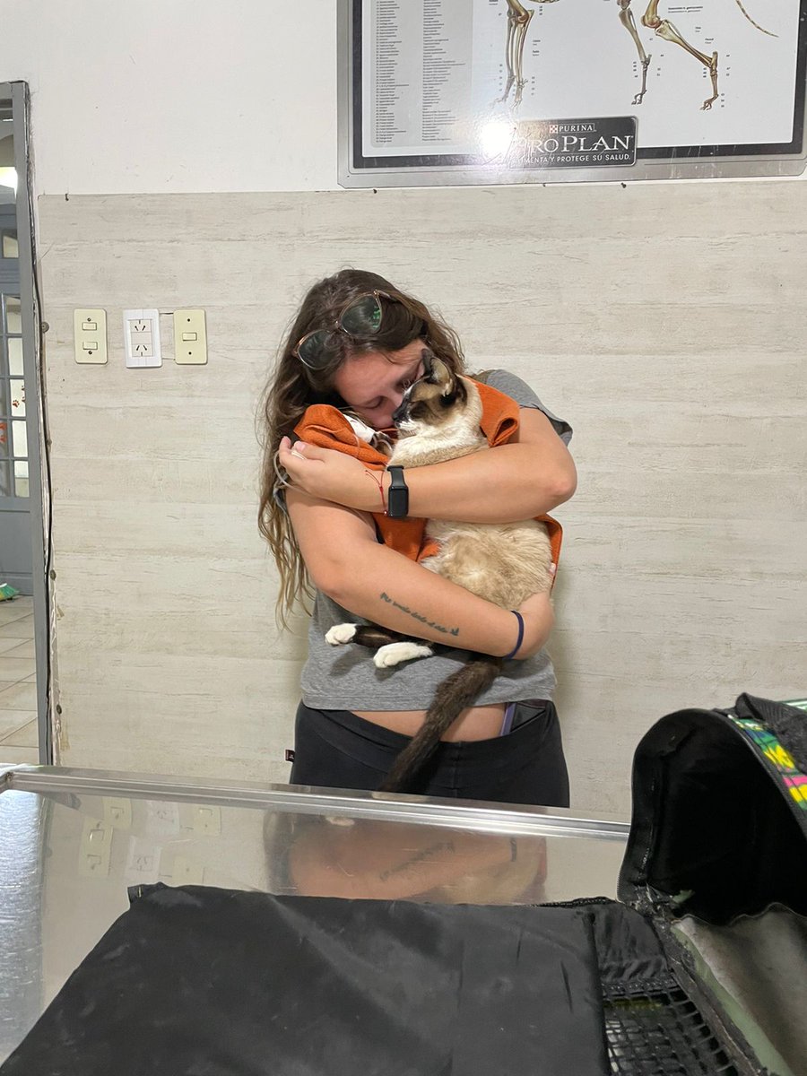 98Virgi's tweet photo. Eras de mi amiga pero te senti mio budinsote.  Vola alto gatito de ojos color cielo💙 te quiero para siempre https://t.co/k4UXMHi8ic