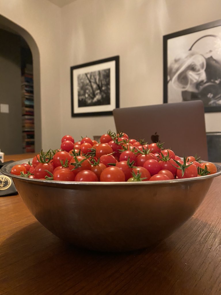 Piper Hansen tweet media