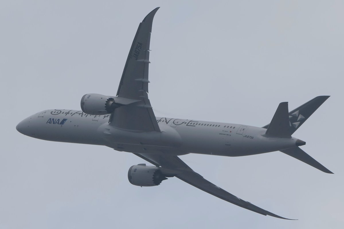 princessarete's tweet photo. #StarAlliance
#ANA
#JA875A
#NH215 https://t.co/TesI9Znxoq