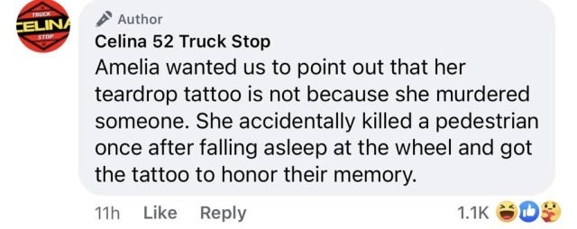 horse dentist tweet media