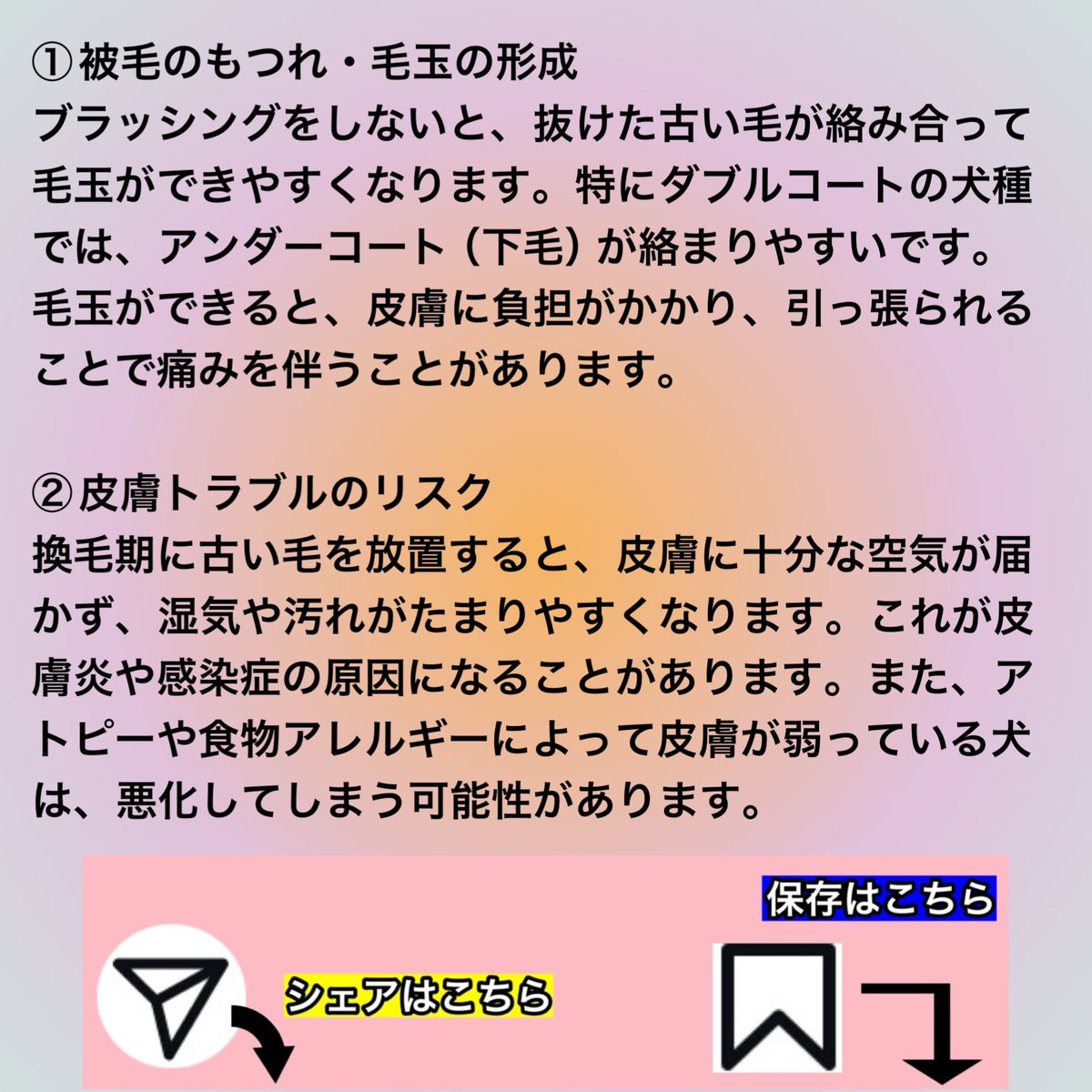 macha_daichi's tweet photo. 犬の換毛期にブラッシングをサボると…
犬に起こる④つの【悪影響】

＊PR＊

写真①②

痛くないから
毎日やらせてくれるコーム（くし）
『ZOOROグルーミングコーム』
（短毛用）
👇
https://t.co/ktptOMwX8J

（長毛用）
👇
https://t.co/YTO8KzXQLj https://t.co/gzJu734SH8