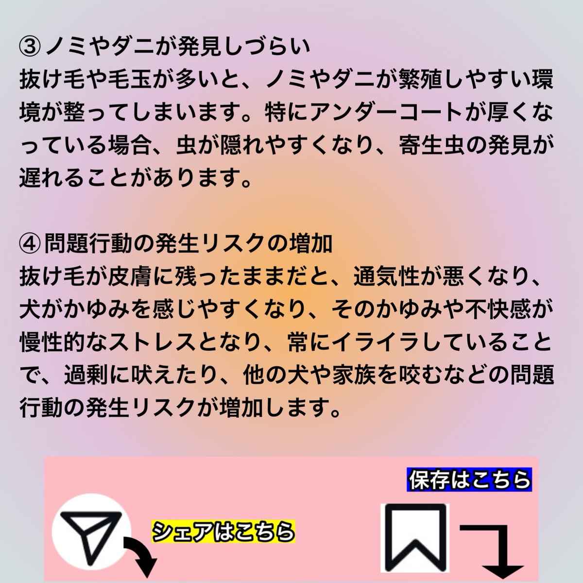 macha_daichi's tweet photo. 犬の換毛期にブラッシングをサボると…
犬に起こる④つの【悪影響】

＊PR＊

写真①②

痛くないから
毎日やらせてくれるコーム（くし）
『ZOOROグルーミングコーム』
（短毛用）
👇
https://t.co/ktptOMwX8J

（長毛用）
👇
https://t.co/YTO8KzXQLj https://t.co/gzJu734SH8