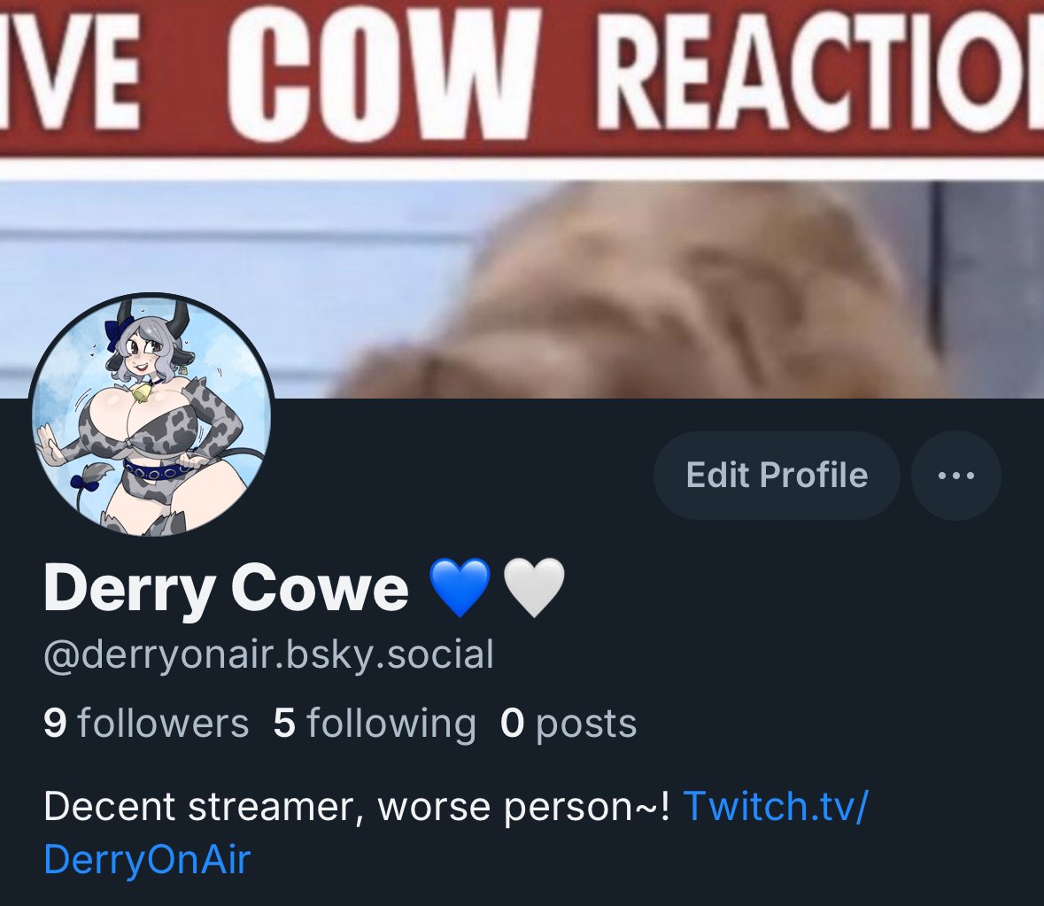DerryOnAir's tweet photo. I mean this as sincerely as possible, I don’t know how active I’ll be on this account, I’m just having it as a back up— I’m stuck on Twitter as a sunk cost fallacy yknow? https://t.co/NtLBC4AR2H