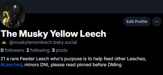 The Leech decided to make an account over here, so if anyone wants to, go ahead and follow, I'll still be just as active here, just going there in case anything happens