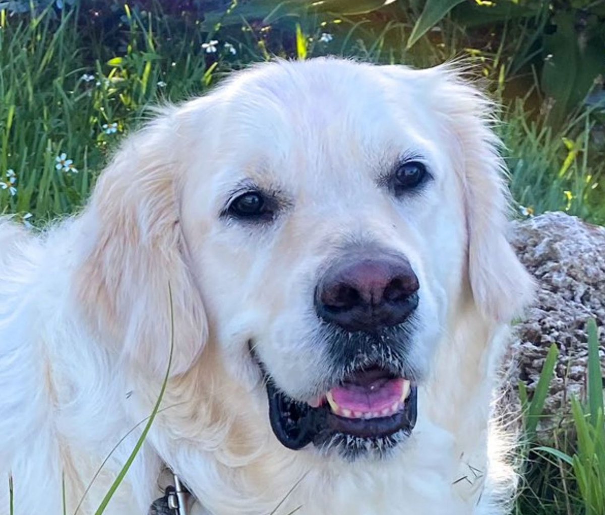 TheGoldenRatio4's tweet photo. Bonus voods pic that was hanging on my desktop... https://t.co/iQhNISs4LS