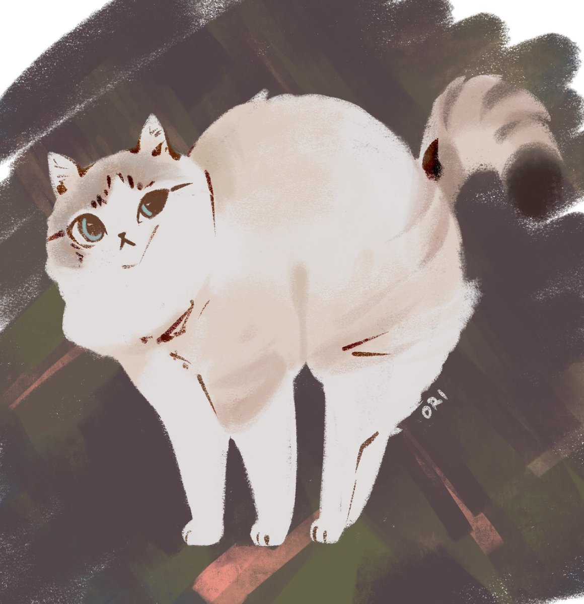 ox.miruku (@ox_miruku) on Twitter photo 