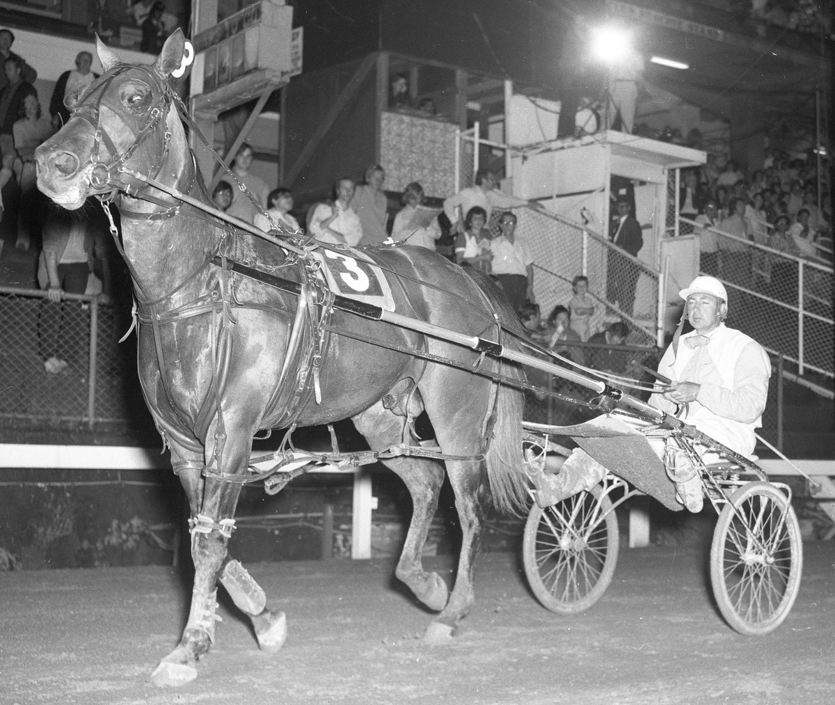 Club Menangle tweet media