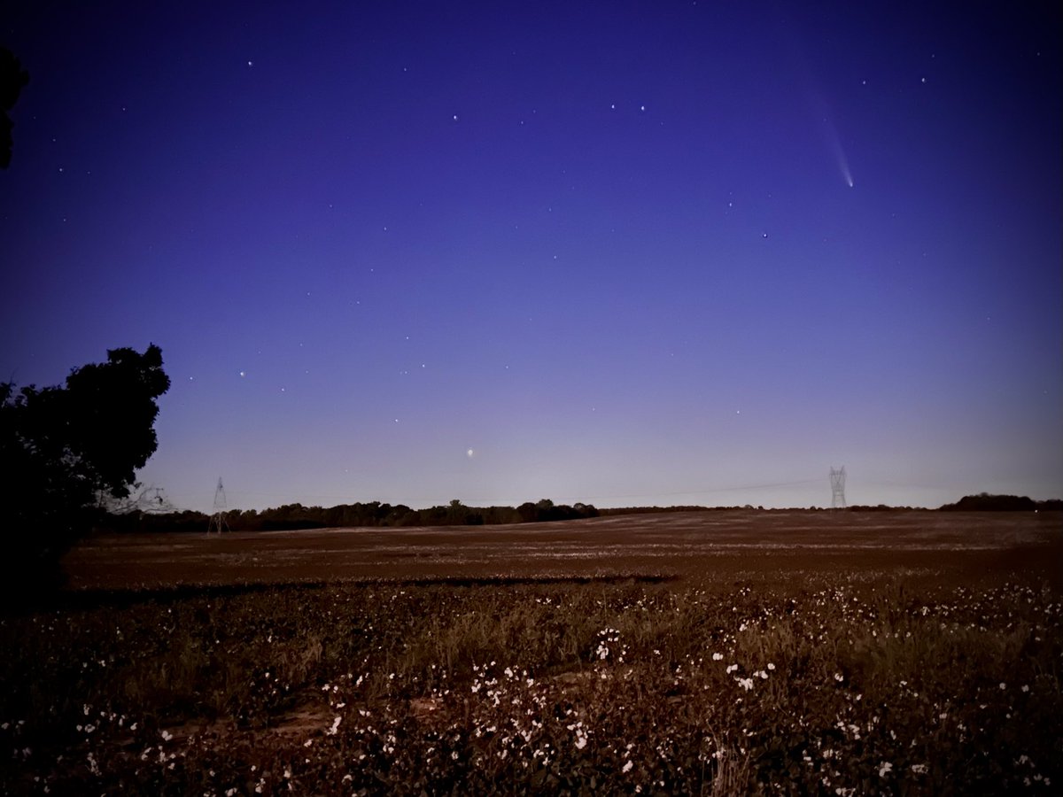 bdahc's tweet photo. Tsuchinshan-ATLAS comet over a cotton field. Lauderdale County in NW Alabama. https://t.co/K5eL0EVuzF