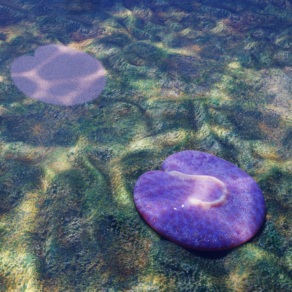 For this #NationalFossilDay I am so pleased to introduce the newest member of the Ediacara Biota: Quaestio simpsonorum! 

Published in Evolution &amp; Development: onlinelibrary.wiley.com/doi/full/10.11…