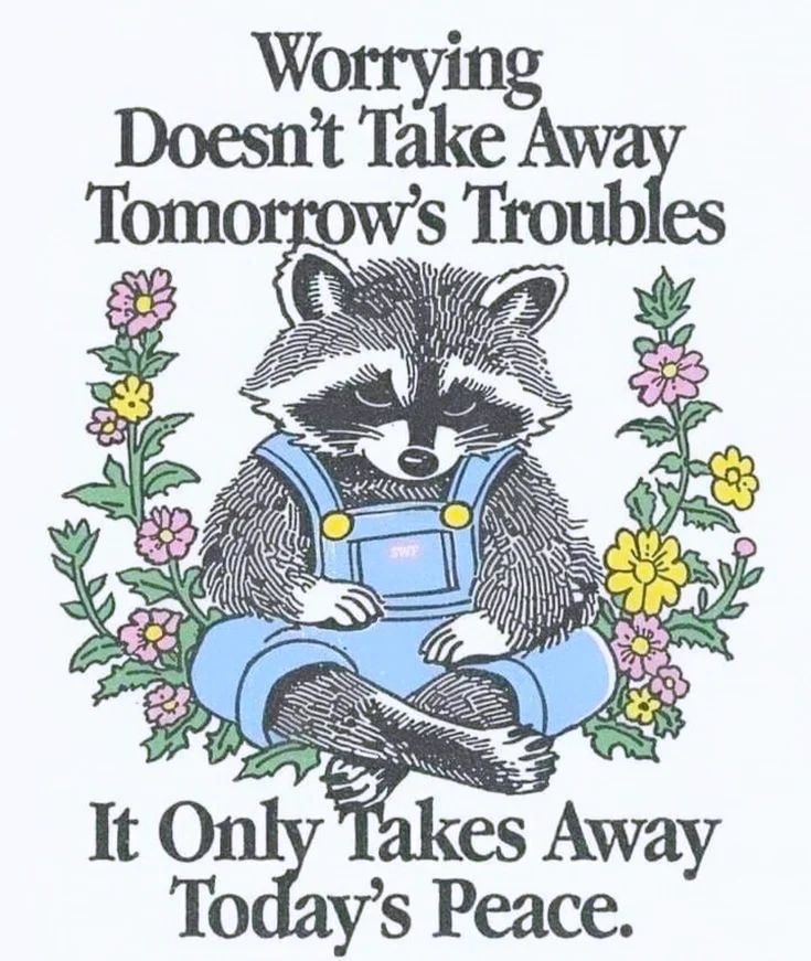 raccoonesthetic's tweet image. 