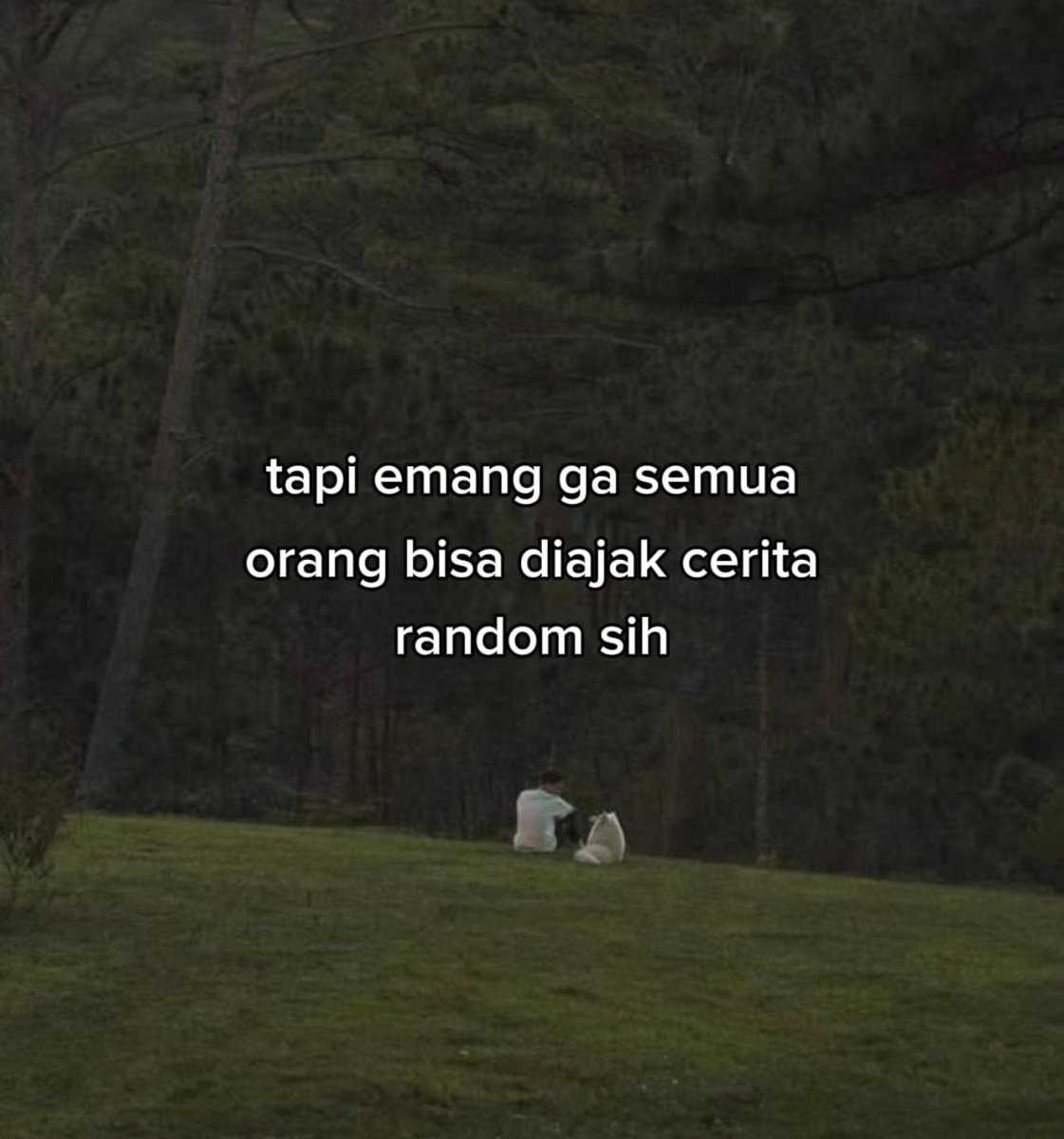 kelvin tweet media