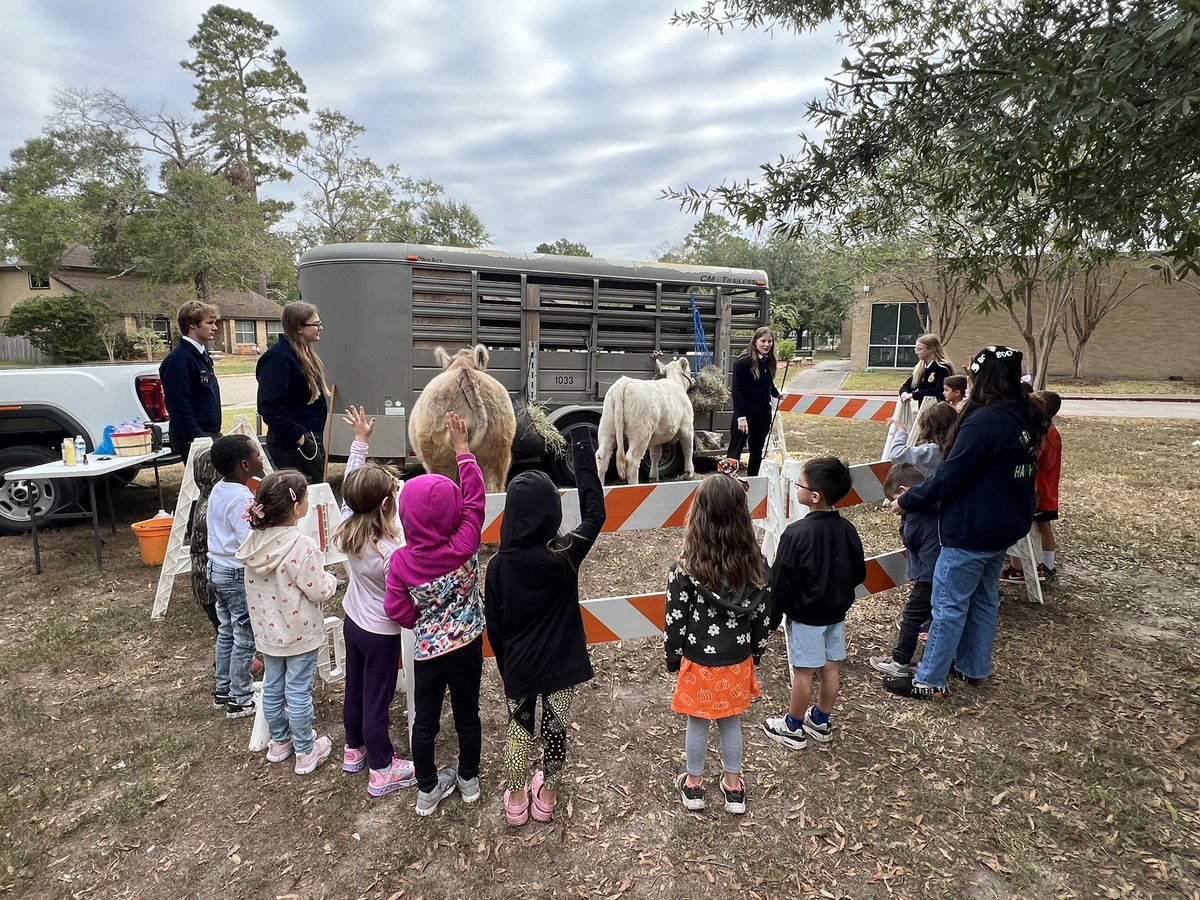 Kristi Roux tweet media