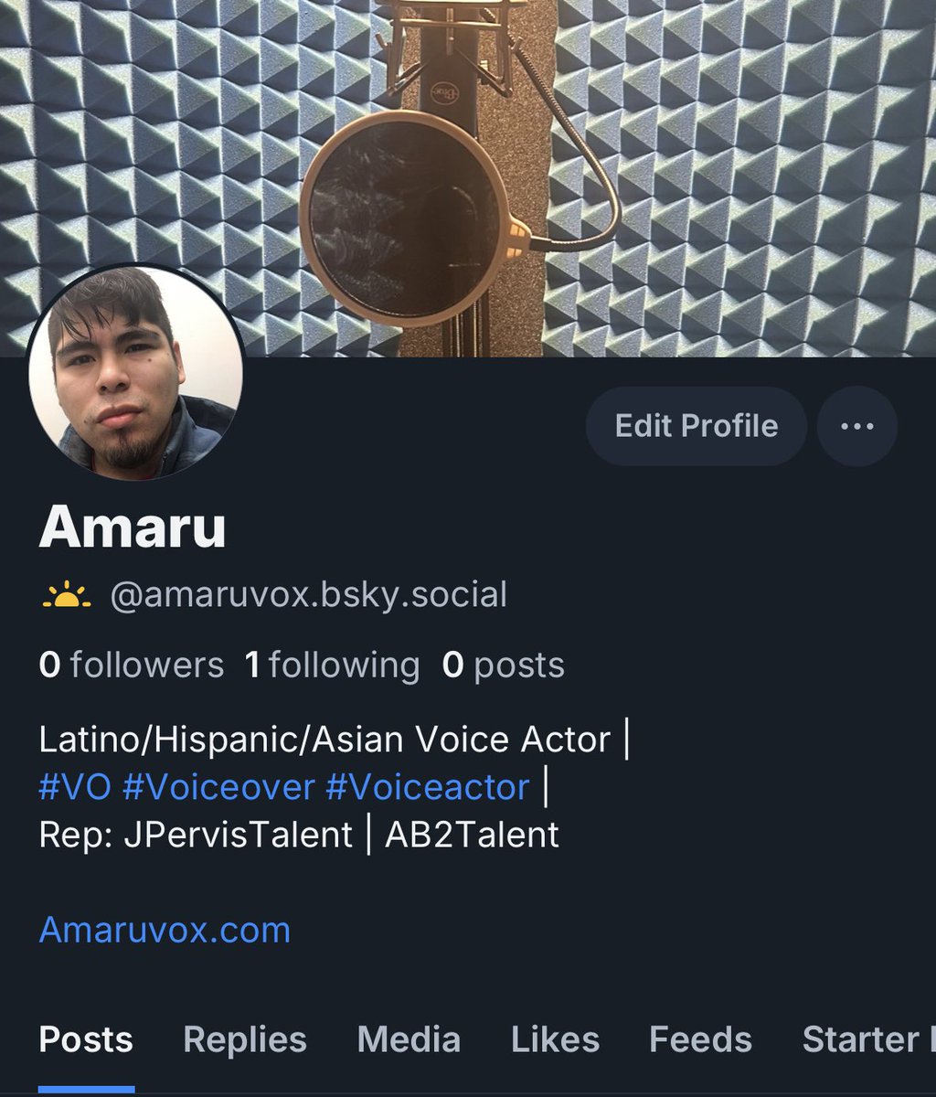 🇵🇪Amaru🇯🇵 (@AmaruVO) / Posts / X