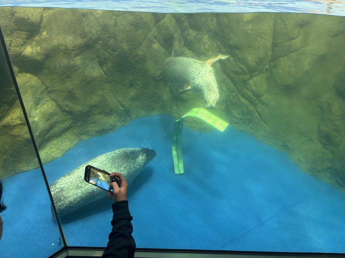 修学旅行in「鎌倉・江の島」!(^^)!
海に沈む夕日が神々しかった…
江ノ島水族館でのアザラシの逆さ泳ぎにキュートすぎて
ハートがやられた( *´艸｀)
いくつもの忘れがたい思い出の1コマをありがとう！