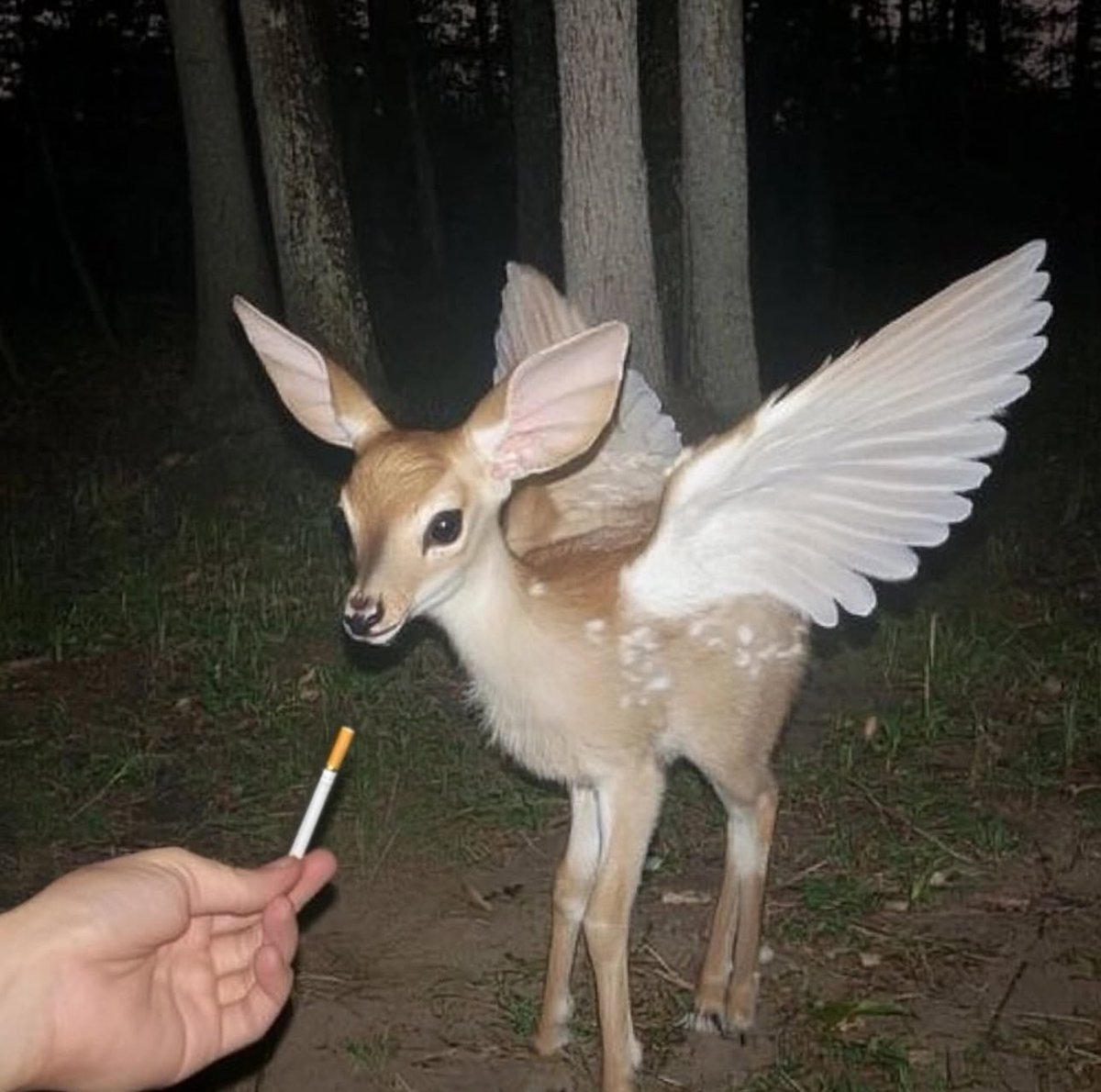 ِ (@phootoo_) on Twitter photo 