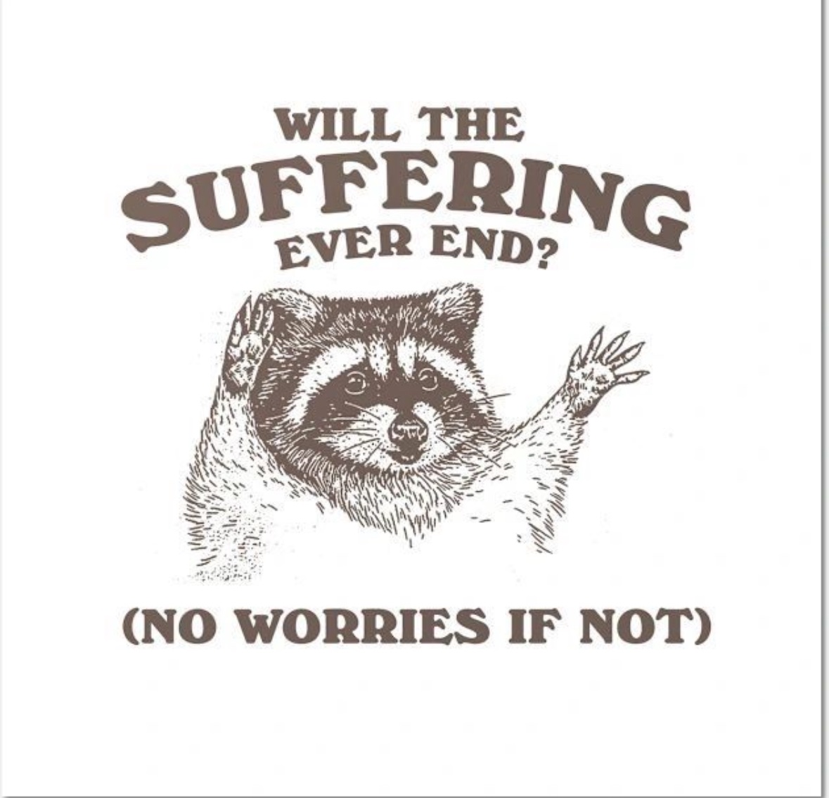 raccoon aesthetic. tweet media