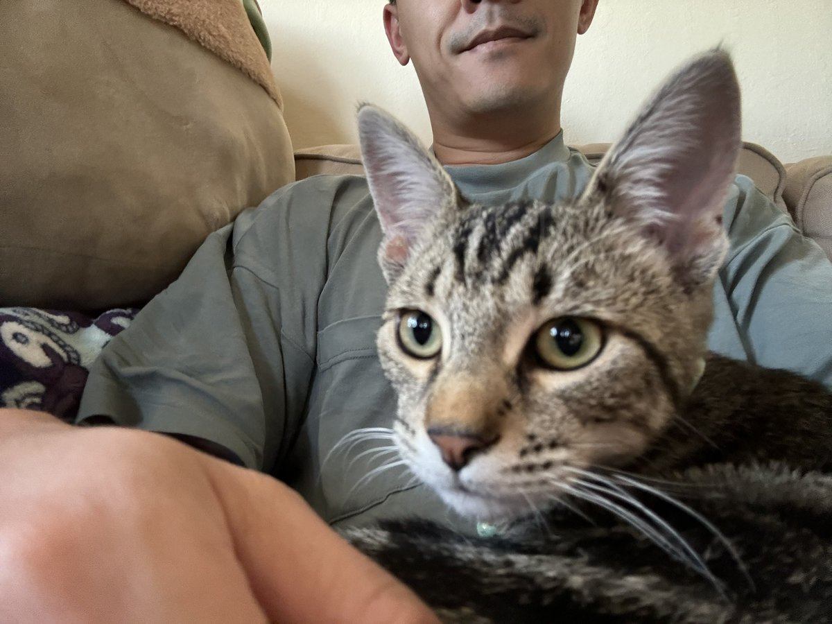 Sooo.. I got a new car (he purrs real nice)

Say Hi to Dumptruck! ✌️😺