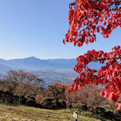 Claude_Khan's tweet photo. 今は紅葉の季節です🍁🍂✨
山の中はところどころ赤く色づいている
とてもきれいです
#秩父市
#紅葉
#秋 https://t.co/mIvbdZBxgz