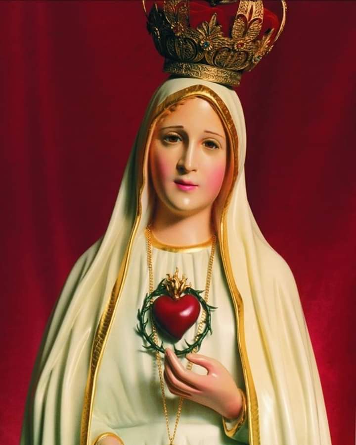 DANTE_eloficial's tweet photo. ✝️ Dios te salve, María, 
llena eres de gracia;
el Señor es contigo.
Bendita Tú eres 
entre todas las mujeres,
y bendito es el fruto de tu vientre, Jesús. 

Santa María, Madre de Dios,
ruega por nosotros, pecadores,
ahora y en la hora de nuestra muerte. Amén 🙏 https://t.co/g8n7MeEShr