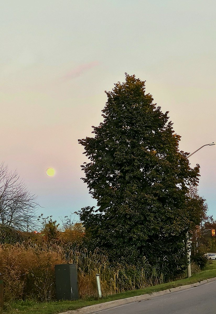 Hey there moon, I see you!

#YGK