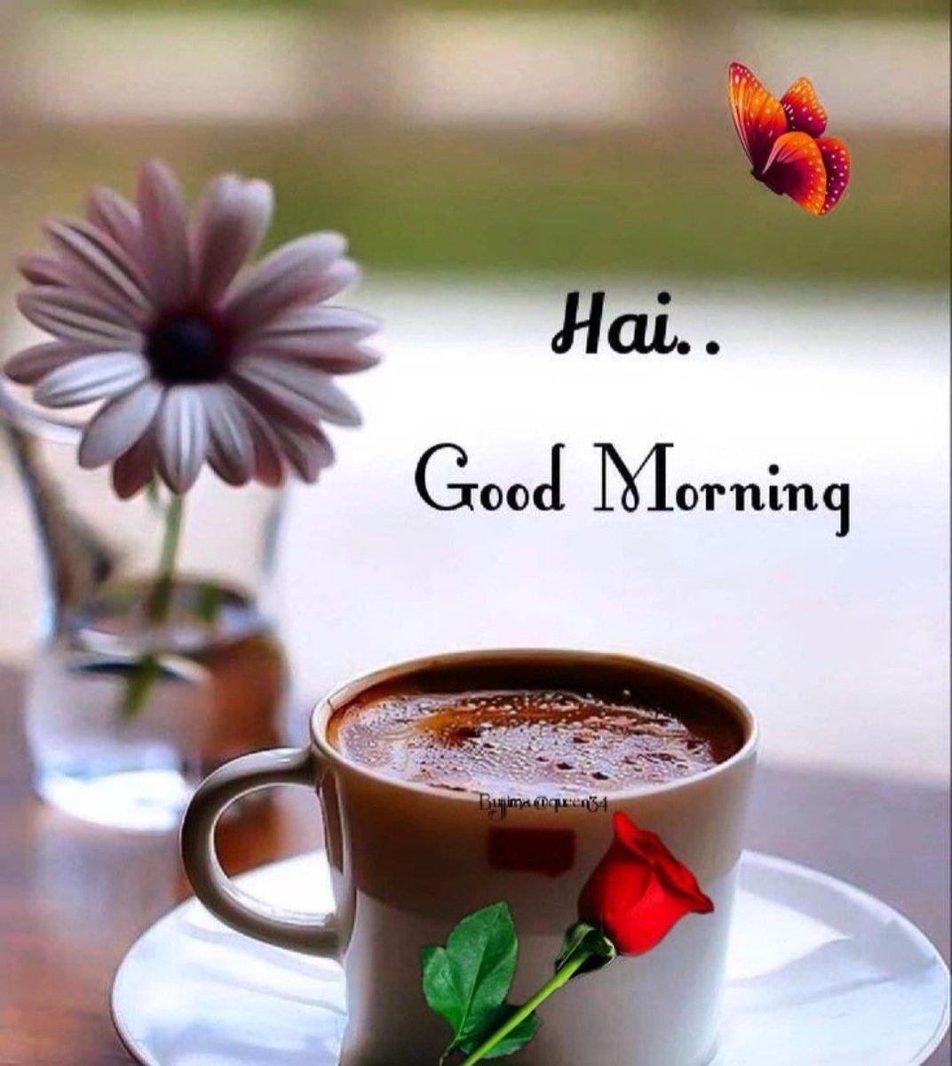 Good Morning Everyone