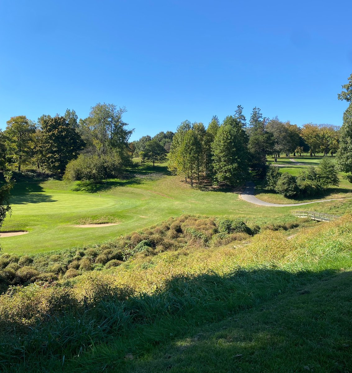Classic 5 Golf tweet media