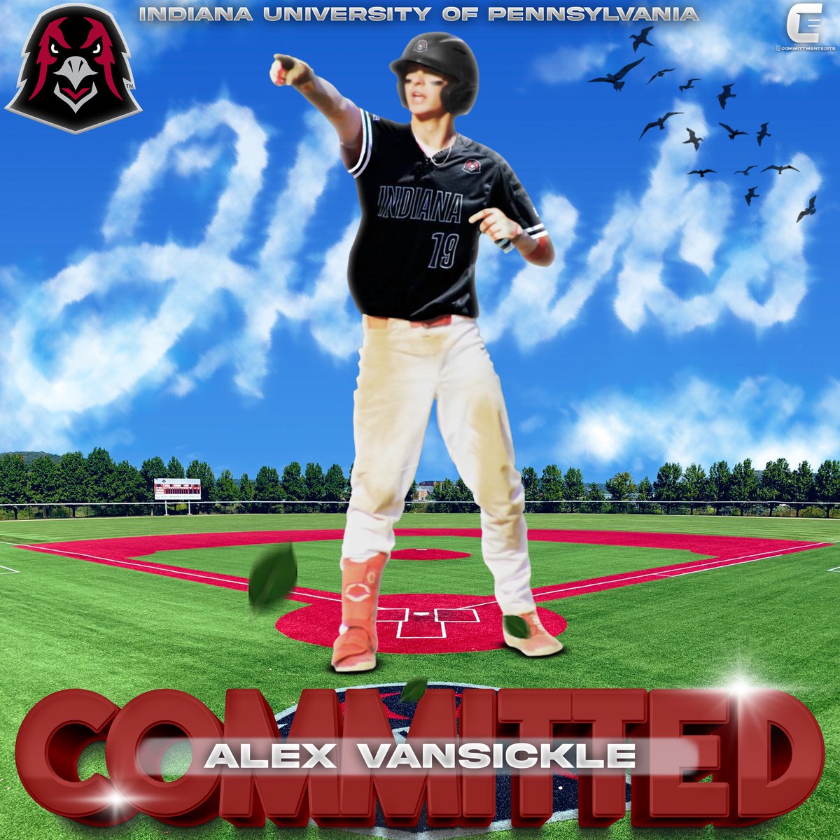 Alex Vansickle tweet media