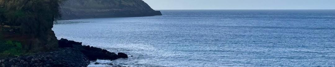 Rafa (@ricardorafa23) on Twitter photo 