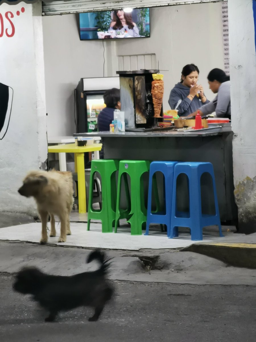 Che__Flaco's tweet photo. Si el trompo de pastor es así en tu colonia, seguramente son muy malos los tacos. https://t.co/eZCMEkKGwK